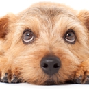 Wiggle It K-9 Academy - Dog & Cat Grooming & Supplies