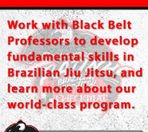 Checkmat Brazilian Jiu Jitsu Tampa - Oldsmar, FL