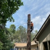 Precision Tree Care & Landscaping gallery