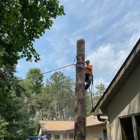 Precision Tree Care & Landscaping