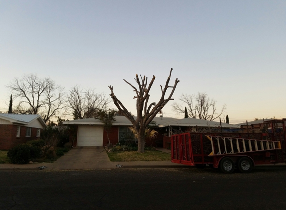 Castle's Residential Services LLC - Odessa, TX. !!Customer paid only $400.00!!
Most recent Tree service. Topping of a Fruitless Mulberry- After