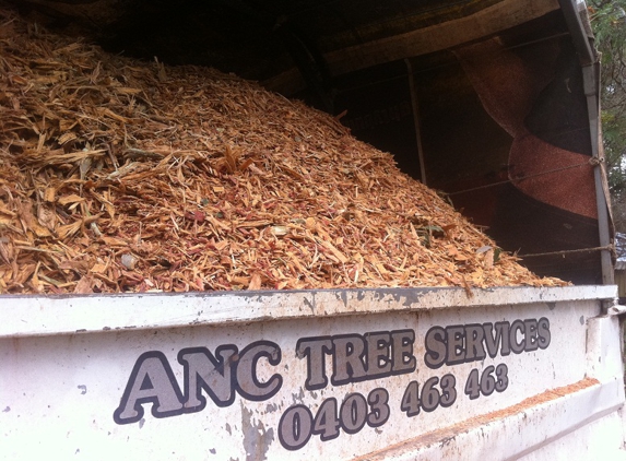 ANC Tree Services - Jimboomba, QLD