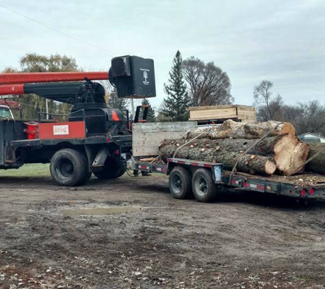 Northern Tree Service - Saginaw, MI