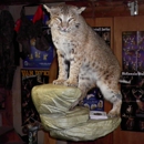 GLORIOSO WILDLIFE MOUNTS TAXIDERMY - Taxidermists