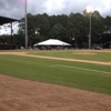 Savannah Sand Gnats gallery