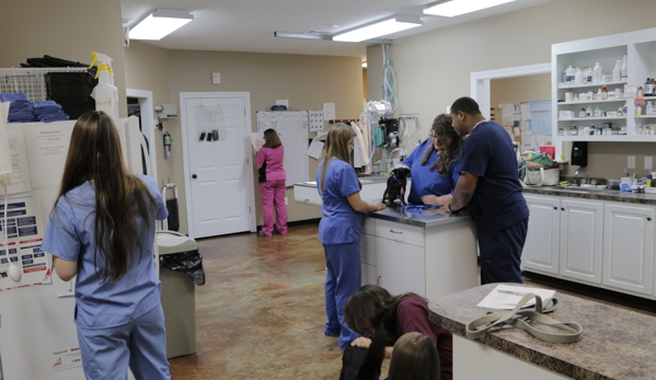 Randall Veterinary Hospital - Byram, MS