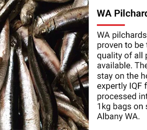 Seaford Bait Pty Ltd - Dandenong, VIC. WA Pilchards
