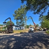 Chop & Drop Tree Service gallery