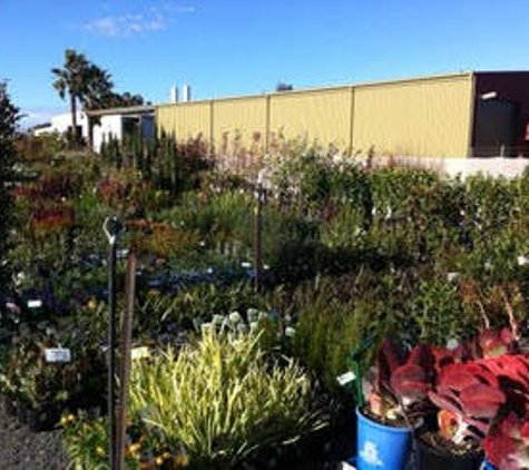 Wholesale Plants & Products Pty Ltd - Dry Creek, SA