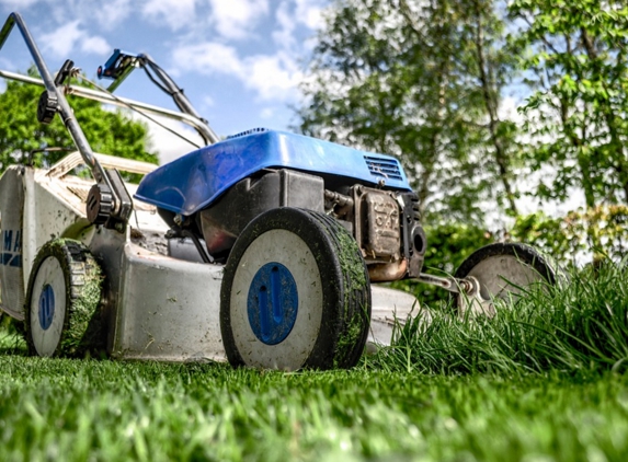 Lake Conroe Lawn Care - Montgomery, TX