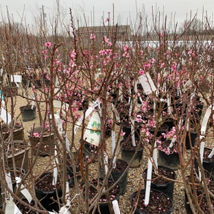 Family Tree Nursery - Shawnee, KS