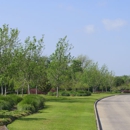 Southern Services Landscape & Irrigation - Landscape Contractors