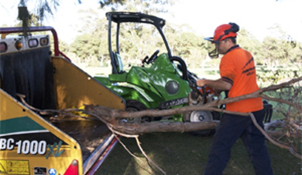 Treevolution Pty Ltd - Five Dock, NSW