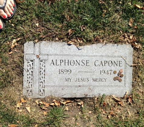 Mount Carmel Cemetery - Hillside, IL