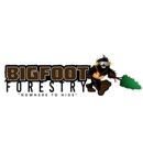 Bigfoot Forestry - Maiden - Landscape Designers & Consultants