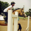 Bear Creek Stables - Horse Training