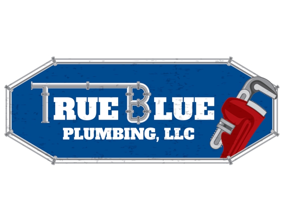 True Blue Plumbing - Kansas City, MO