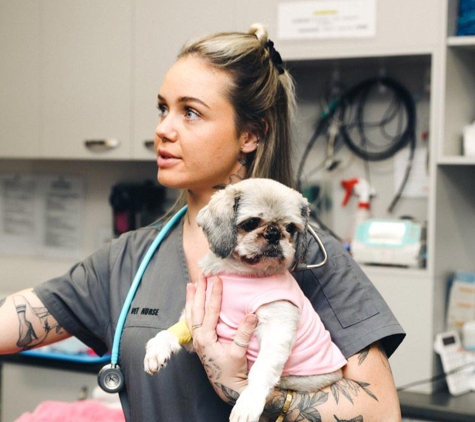 The Point Veterinarian - Paradise Point, QLD