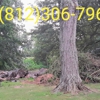 J & J Tree Service & More gallery