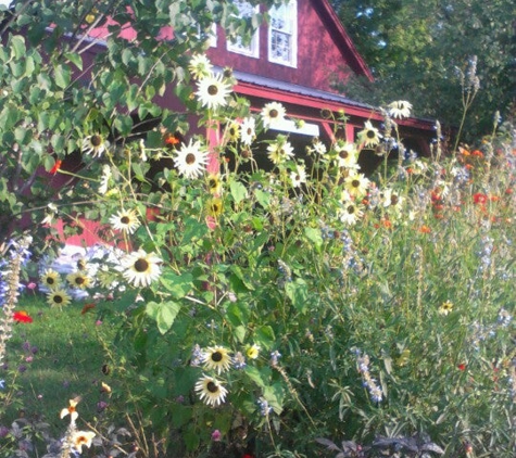 Clear Brook Farm - Shaftsbury, VT