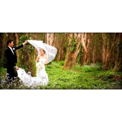 Gallery Image Number 3