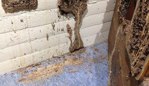 North Vic Pest Control - Swan Hill, VIC