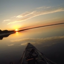 Southeast Angler - Boat Tours