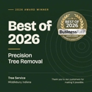 Precision Tree Removal - Tree Service