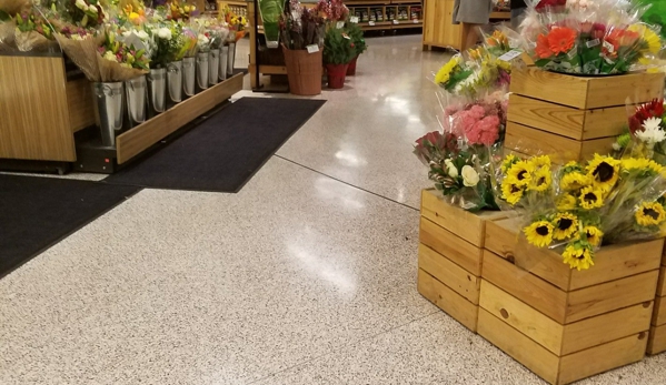 Publix Super Market at Britton Plaza - Tampa, FL