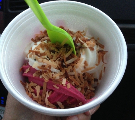 sweetFrog Premium Frozen Yogurt - Rockwall, TX