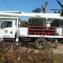 Paul Bunyan Tree Service - Tree Service