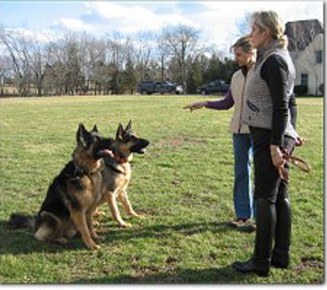 Real K9 Solutions - Stockton, NJ. Real K9 Solutions for Real K9 Problems