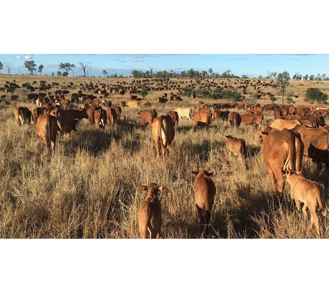 BMAgBIZ - Emerald, QLD