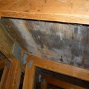 Certified Indoor Environmental - Mold Remediation