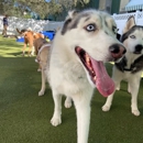 Paws 'n' Rec - Pearl - Pet Services