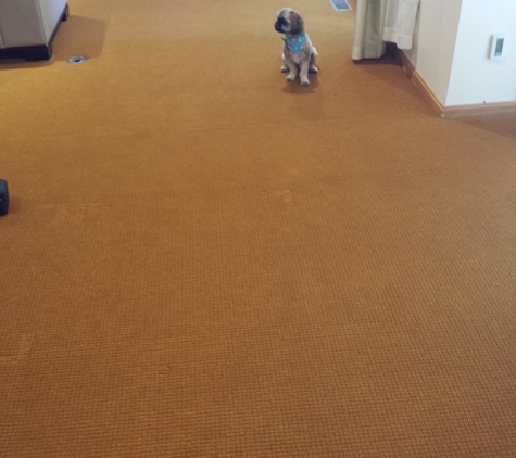 Carpet Restretch Repair - Lorain, OH