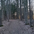 Asbury Woods