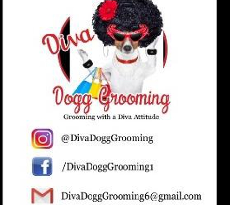 Diva Dogg Grooming - Providence, RI