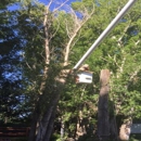 AA Tea's Timber Tree Service - Tree Service