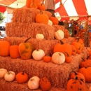 Pasadena Pumpkin Patch - Fruit & Vegetable Markets