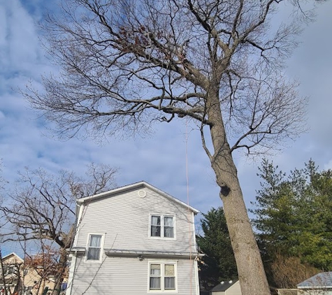 Anytown Tree Service Inc - Indianapolis, IN