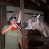 Happy Acres Horseback gallery