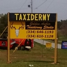 Golden Antler Taxidermy Studio