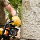 Holland Enterprises - Tree Service