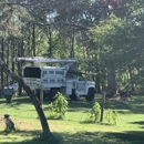 RM Tree Service - Tree Service