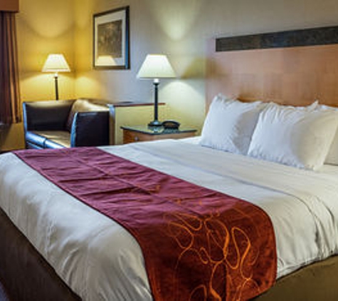 Comfort Suites Southpark - Colonial Heights, VA