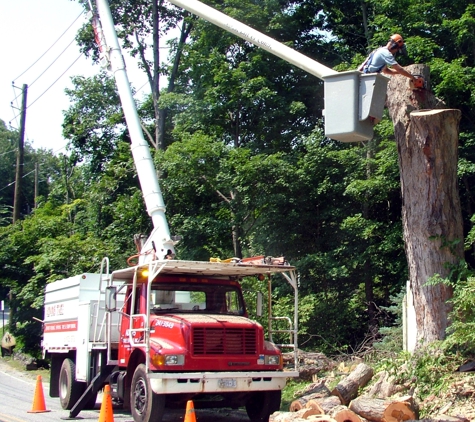 ADAMS TREE SERVICE INC. - Briarcliff Manor, NY