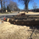 BP Trees, LLC - Arborists