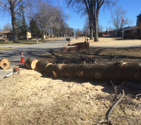 BP Trees, LLC - Tulsa, OK