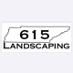 615 Landscaping